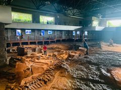 -自贡恐龙博物馆