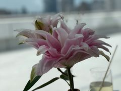 -璞渼咖啡 ROOF P.M. Café(浦东美术馆店)