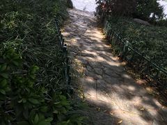-苏堤停车场
