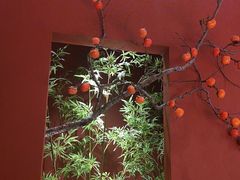 -拾宴(汇智国际商业中心店)
