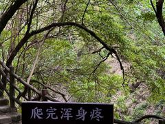 -大鄣山卧龙谷景区