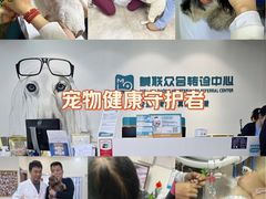 -美联众合动物医院·24h转诊中心