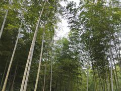 -陶祖圣境风景区