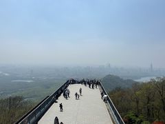 -紫金山山顶公园