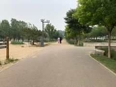 -东郊湿地公园