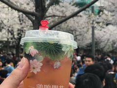 -鸡鸣赐茶(鸡鸣寺路店)