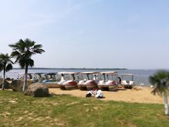-瑶湖郊野森林公园