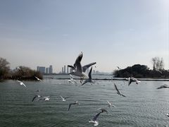 -渤公岛生态公园