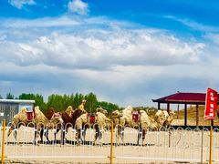 -库伦旗银沙湾旅游景区