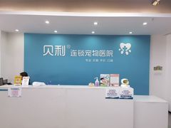-贝利宠物医院·骨科·眼科·肿瘤转诊中心(南坪诊疗中心)