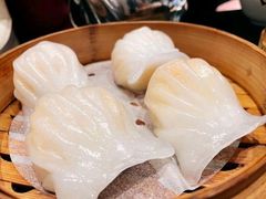 虾饺王-高第街56号港式餐厅·精选(世茂广场宽厚里大明湖店)