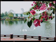 -成飞公园