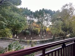 -苏州吴宫泛太平洋酒店