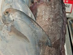 -码头鲜精致威海菜(欧乐坊店)