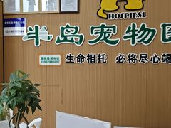 -半岛宠物医院24小时·内窥镜·牙科·碎石中心(府城大道店)