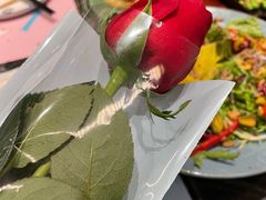 情人节玫瑰-将太无二·蓝鳍放题·北美寿司(领展购物广场中关村店)