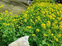 -钟山体育运动公园