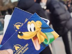 -上海迪士尼度假区