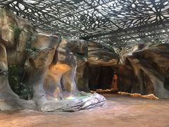 -杭州开元森泊度假乐园