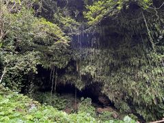 -海口火山口国家地质公园