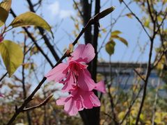 -中国移动南方基地