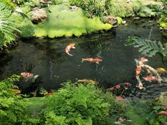 -罗红摄影艺术馆