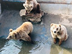 -济南野生动物世界