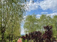 -永定河休闲森林公园