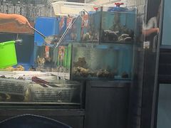 -潮庭·大连海鲜·炭火烧烤·扇贝王(大连店)