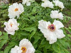 -玄武湖景区-情侣园游乐场