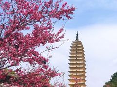 -崇圣寺三塔文化旅游区