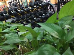 -RoMan罗马健身工作室(莘庄店)