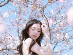 -高东镇樱花园