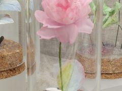 -北京中医药大学-中医药博物馆