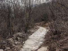 -北京西山国家森林公园