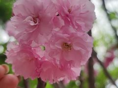 -观澜湖生态运动公社