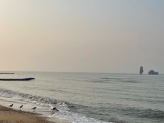 -碣石国家级海洋公园