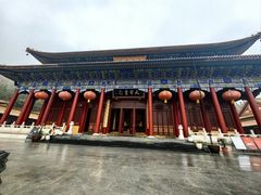 -天目山大树王景区