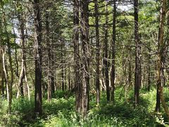 -白草畔自然风景区