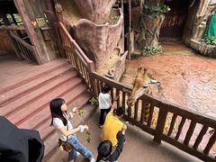 -长鹿旅游休博园