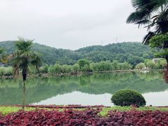 -明月山天沐温泉度假村