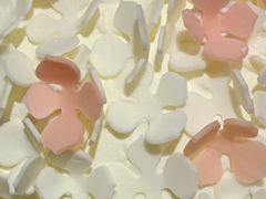 -85度C(北京八角物美店)