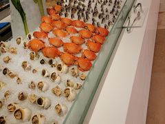 -喜来登酒店-盛宴标帜海鲜自助