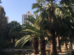 -苏州河梦清园环保主题公园