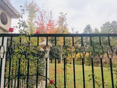 -堤角公园
