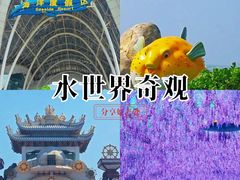 -渔岛海洋度假区