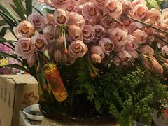 -双季花艺园艺市场(浦东店)