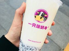 -一只酸奶牛(八一路店)