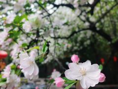 -大唐博相府酒店·陕西官府菜