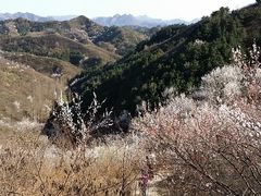 -蟠龙山长城景区